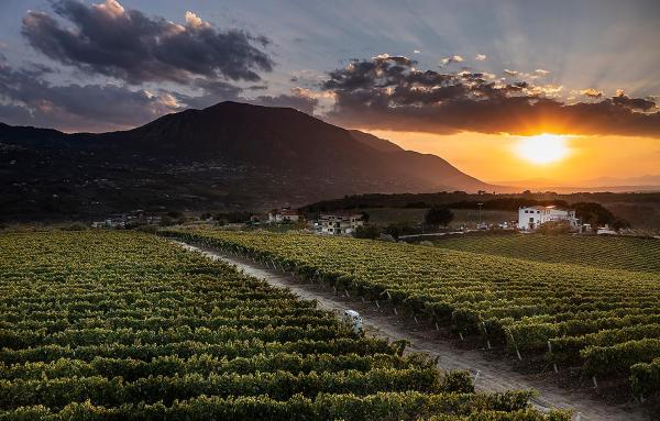 Giardino Delle Oche - Ocone Taburno Wine County, Забронировать  Понте Кампания