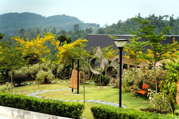 Monkeys Canopy Resort