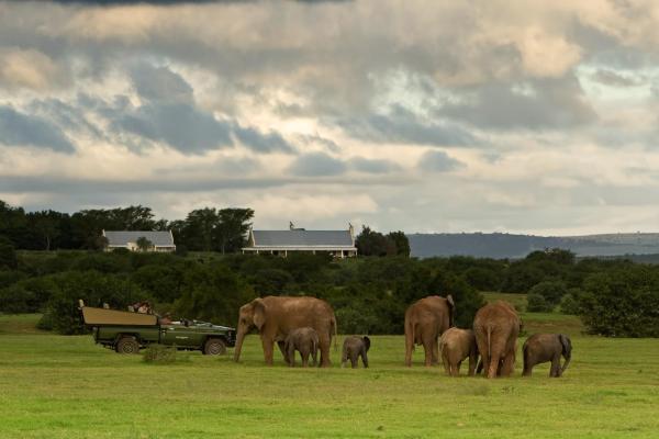 RiverBend Lodge, Забронировать Лодж СПА-отели Addo Elephant Park, SPA-услуги