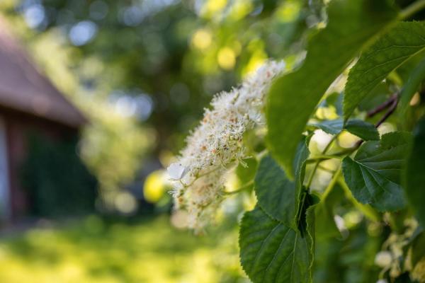 Fewo Silke Dethlefsen, Забронировать  Пеллуорм North Frisian Islands