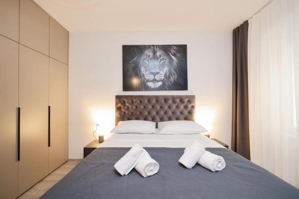 Classy apartments in city centar