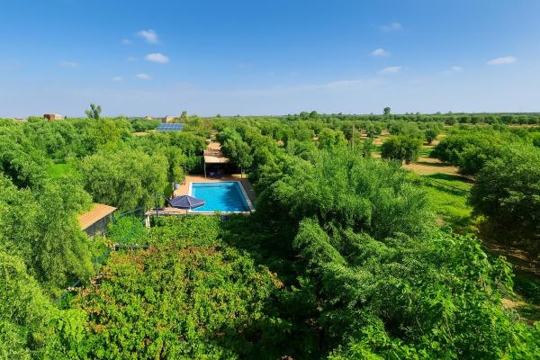 Eco Farm Tayssir Marrakech, Забронировать  Отели Азру-Меллул с завтраком, Завтраки