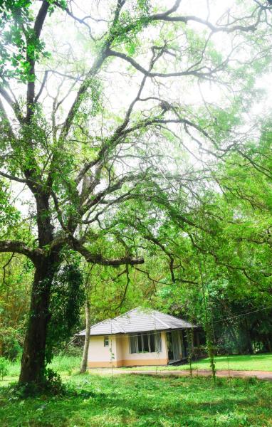 Debaraliyadda Estate, Забронировать  Отели Северо-Западной провинции с завтраком, Завтраки