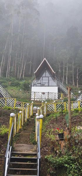 The Soul Of Vattavada, Забронировать  Ваттавада штат Керала