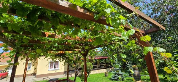 La mama Miha, Забронировать  Аджиджа Констанца