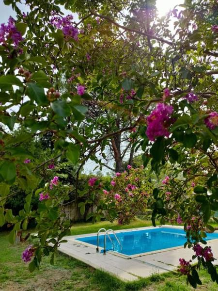 Villa indépendante avec piscine au rdc, Забронировать  Отели Ньон с бассейном, Бассейн