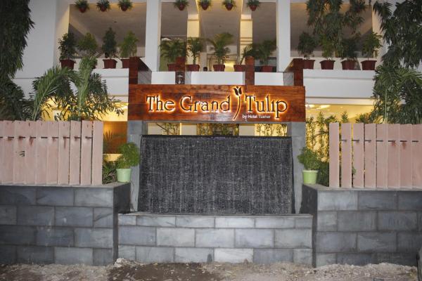 The Grand Tulip