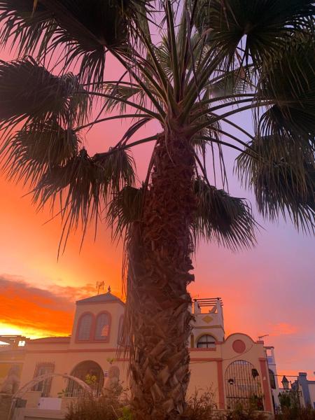 Villa Amaya, Забронировать  Отели Коста-Бланка с бассейном, Бассейн