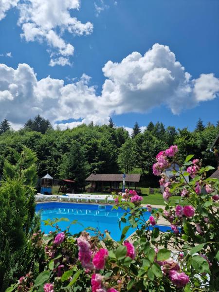 Pensiunea Andreea, Забронировать  Mărgineni Брашов