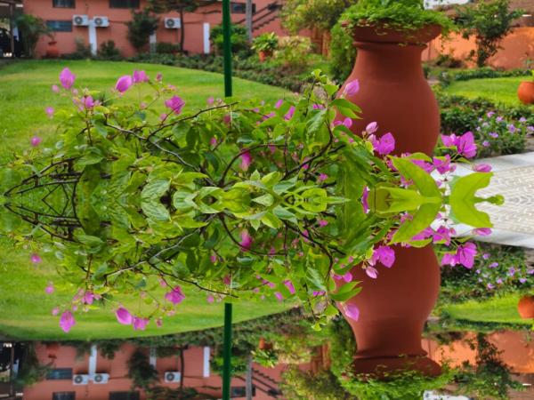 Gratitude Lodge, Забронировать  Котону 