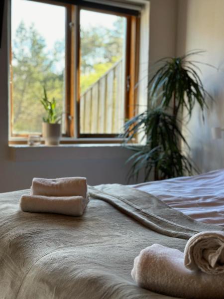 Vindvadet Ferielejligheder