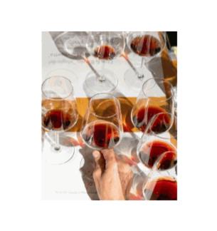 Il Borghetto di Castagnole, Забронировать  Кастаньоле-Монферрато Пьемонт