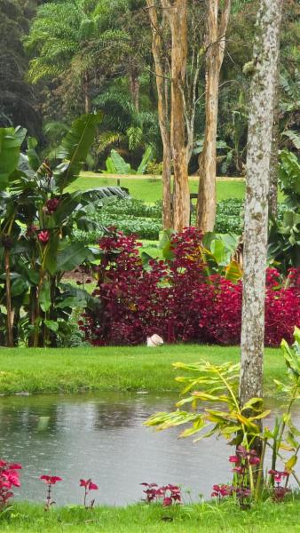 Celeiro Stein, Забронировать  Домингус-Мартинс Эспириту-Санту