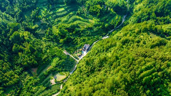 Your Quiet Place, Забронировать  Отели Синлун с бассейном, Бассейн