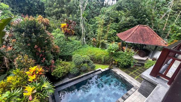 Nadiya Jungle Ubud Home, Забронировать  Отели Убуд с бассейном, Бассейн
