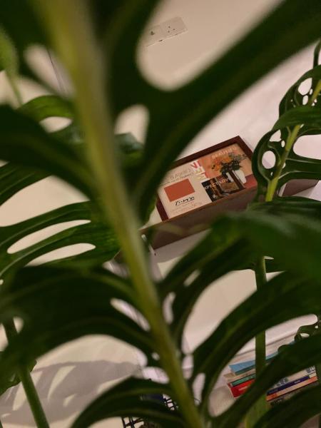 Homs Female Hostel, Забронировать  Недорогие отели штата Пинанга, рядом с Башня Комтар, недорогие