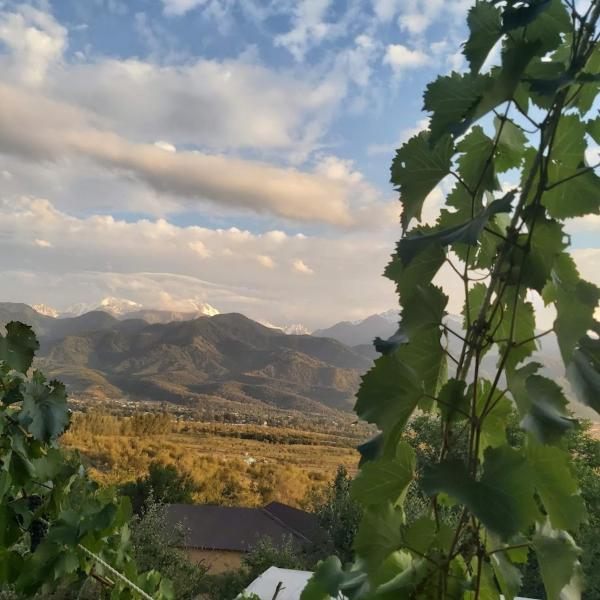 Non Solo Pizza, Забронировать  Рыскулово Алматинская область