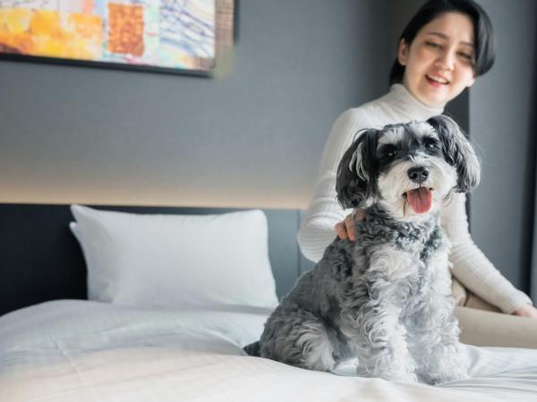 hotel anddoggy Kyoto Nijo