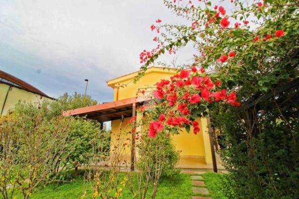 Villa Sofia, Забронировать  Ботричелло Калабрия