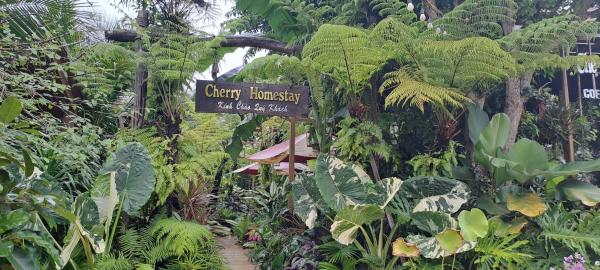Cherry HomeStay & coffee, Забронировать  Buôn Ðũng Dak Lak