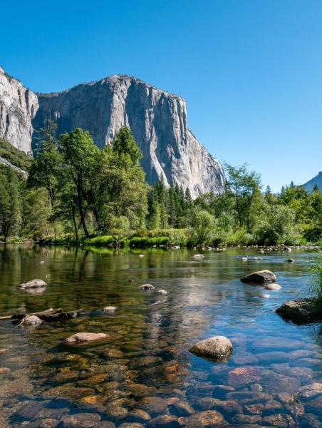 Under Canvas Yosemite