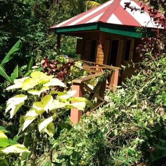 Berkey\s Jungle Paradise Resort, Забронировать  Розо Доминика