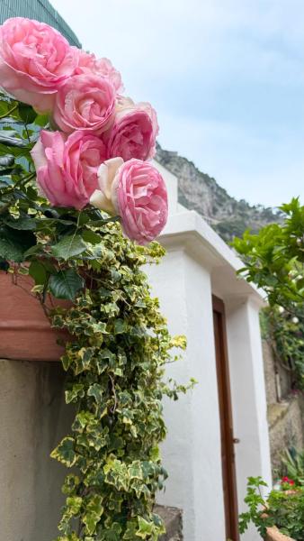 Il Cigno B&B, Забронировать  Капри Остров Капри, рядом с Улица Виа Рома