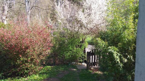 La Cabanette à 10min de Disneyland Paris - Cabane & Cabanon, Забронировать  Шалифер Марн-ла-Валле