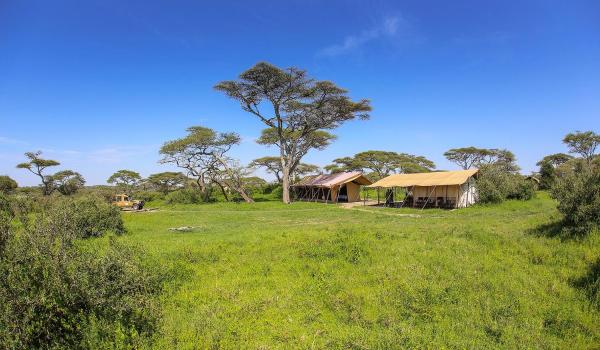Serengeti Savannah Camps, Забронировать  Soronera Объединенная Республика Танзания