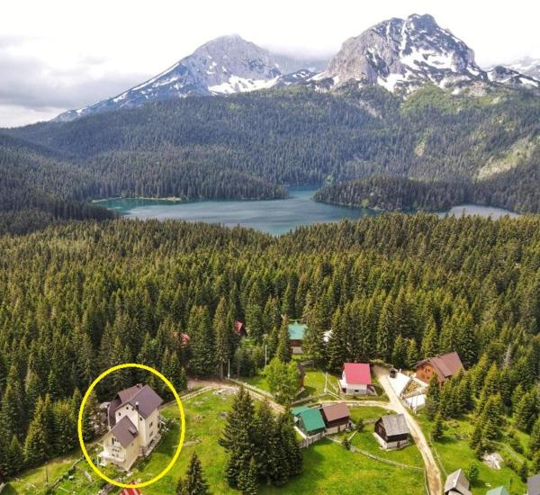 Apartment Durmitor, Забронировать Апартаменты/квартира Жабляк Zabljak County
