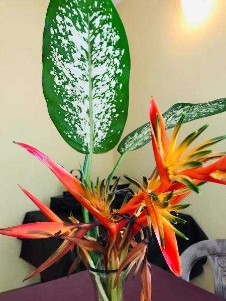 Village Inn, Забронировать  Недорогие отели Округа Галле, недорогие