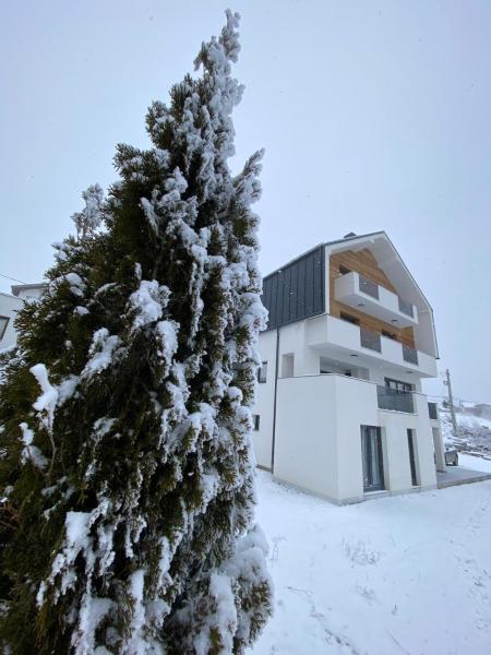 Marmotta Paltinis, Забронировать  СПА-отели Пэлтиниш, SPA-услуги
