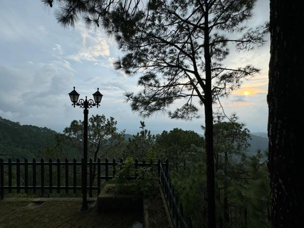 ELIVAAS Goldencrest 6 BHK Villa Nestled in the Hillside of Kasauli, Забронировать  Касаули штат Химачал-Прадеш