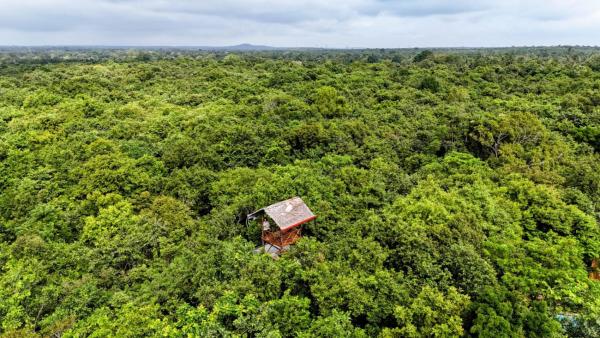 Tree Trails Sigiriya, Забронировать  Отели Округа Галле с бассейном, Бассейн