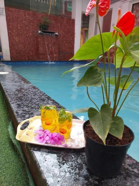 Hotel Queen Queen Sea, Забронировать  Калангут Северный Гоа