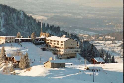 Berggasthaus Panorama