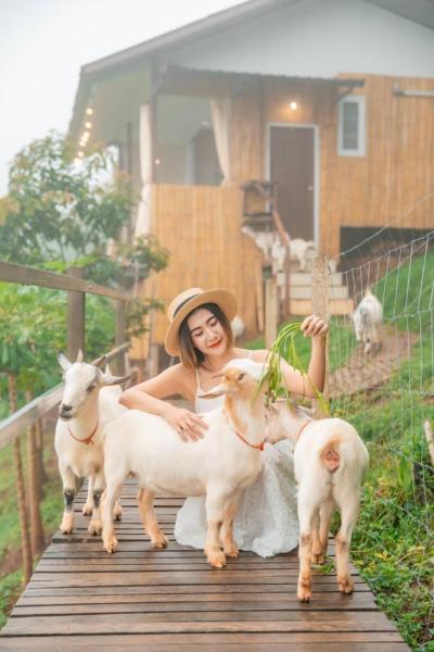 Kirin Farm, Забронировать  Ban Mae 