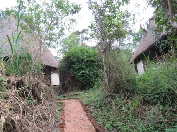 Kibale Forest Cottages And Campsite, Забронировать  Недорогие отели Форта Портала, недорогие