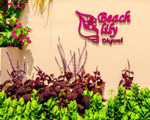 Beach Lily Dhigurah, Забронировать  СПА-отели Дигура, SPA-услуги
