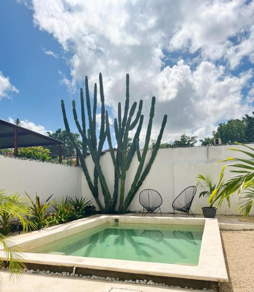 Yuxtal, 预订  Azcorra 尤卡坦州