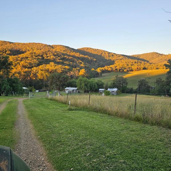 Farm Stay Pepperina