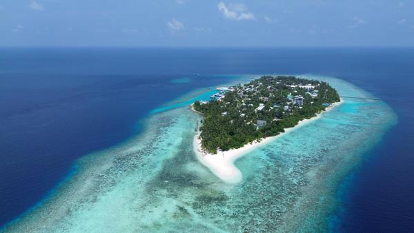 Beach view travel, Забронировать  Омадху Атолл Ари