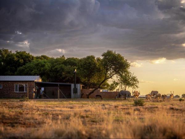 Anna Africa Guest House, Забронировать  Блумфонтейн Фри-Стейт