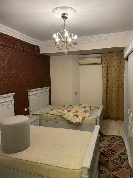 House, Забронировать  Докки Каир