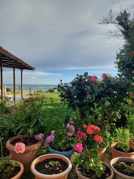 Villa Apostolos, Забронировать  Nea Chili периферия Восточная Македония и Фракия