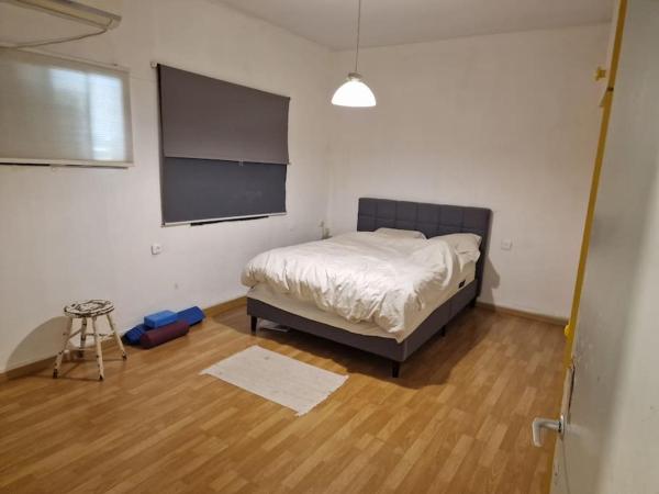 Modern warm 2BR, near the park