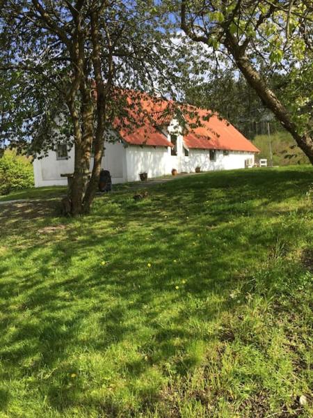 Vacation home on the Half island Helgenæs, Забронировать  Кнебель Центральная Ютландия
