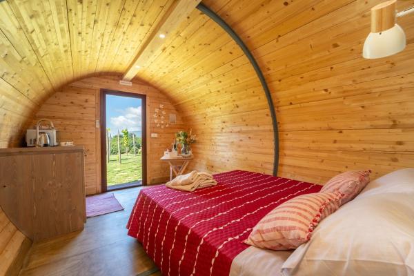 Dormire in una botte - Antiche Vigne Pironti, Забронировать  Марци Калабрия