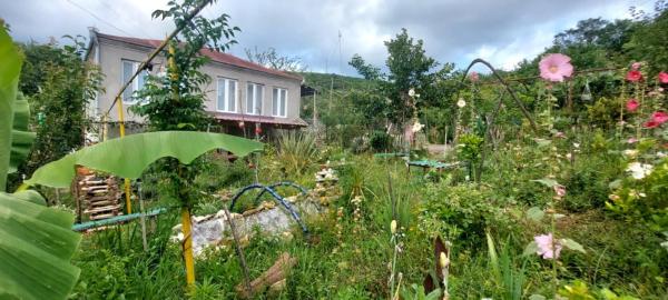 Guest House David, Забронировать  Gumbra Цхалтубский муниципалитет