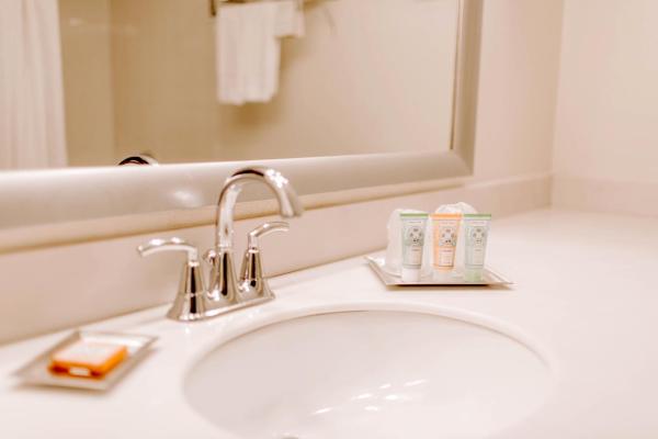 Holiday Inn Select North Dallas
